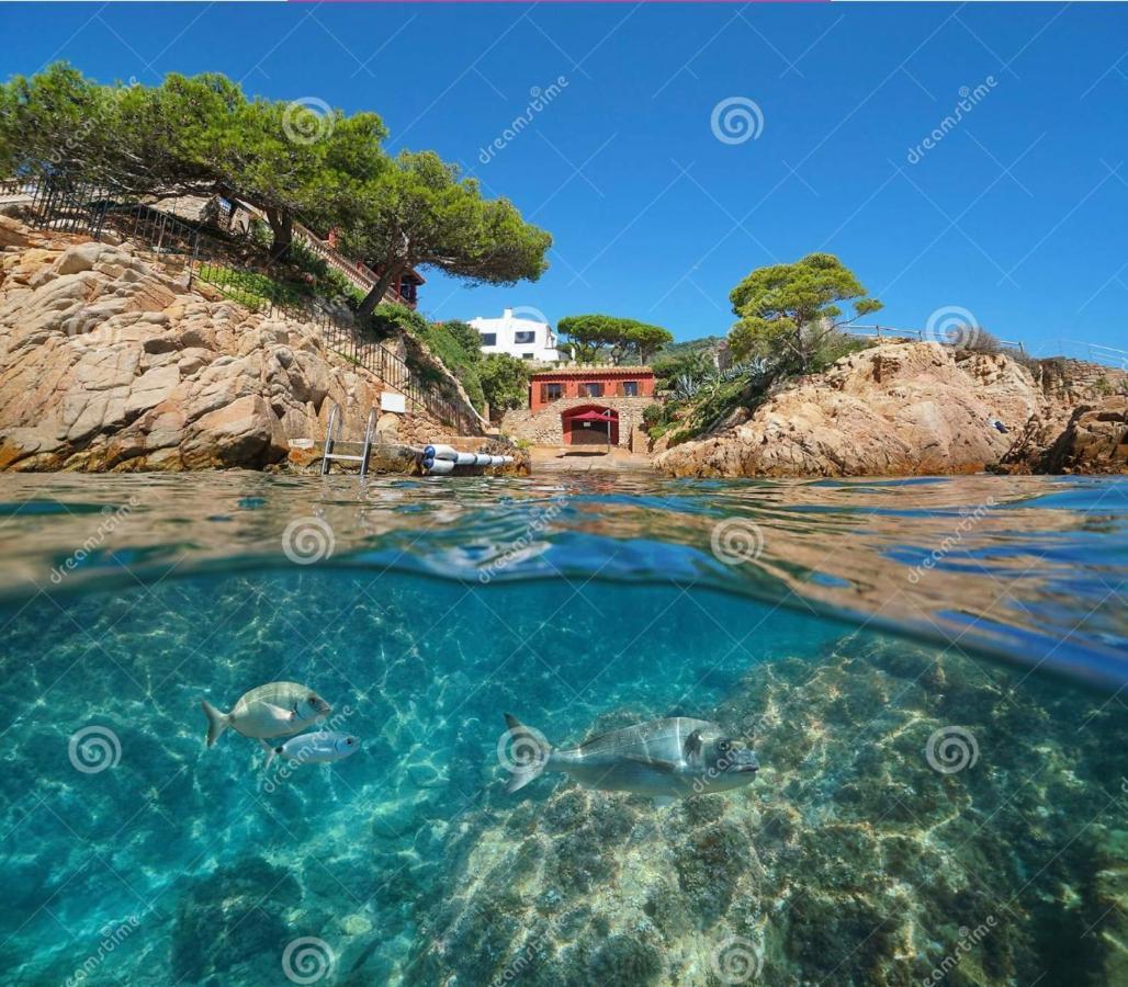 Noor Apartamento Begur Extérieur photo